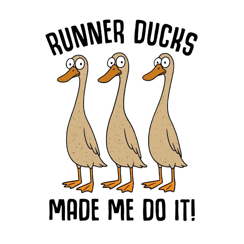 Ducks Duck Duck Mom Duck Dad Duck Breeding