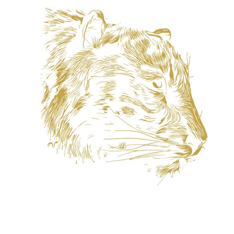 Eleganter und wilder Tiger