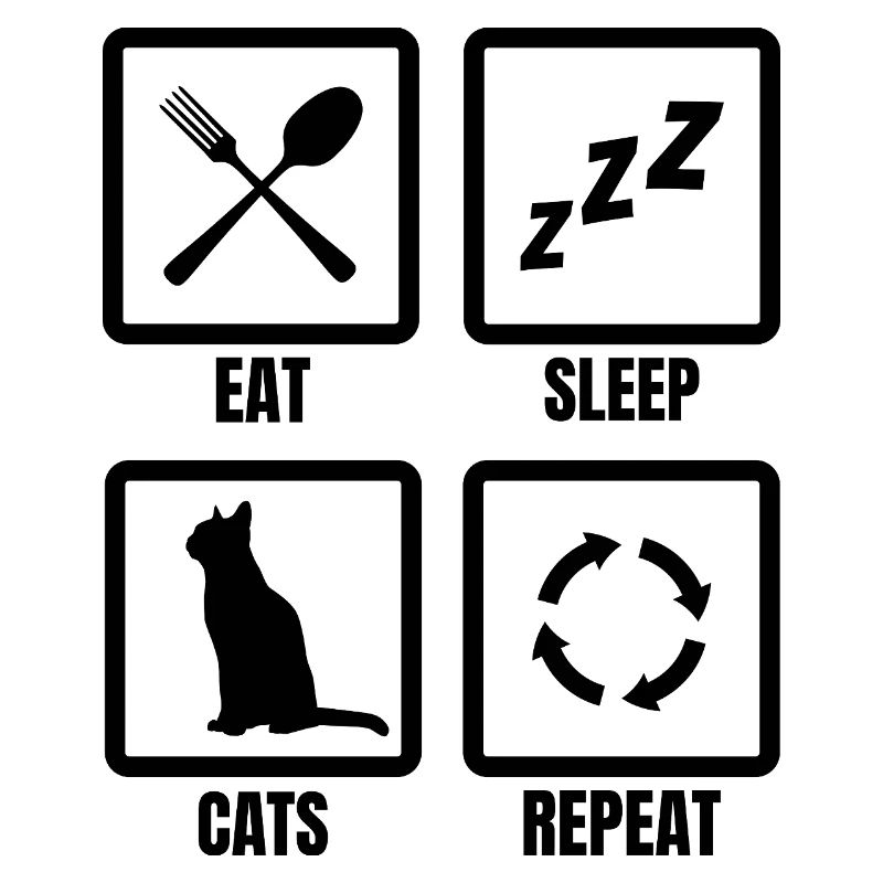Cat Owner Schedule