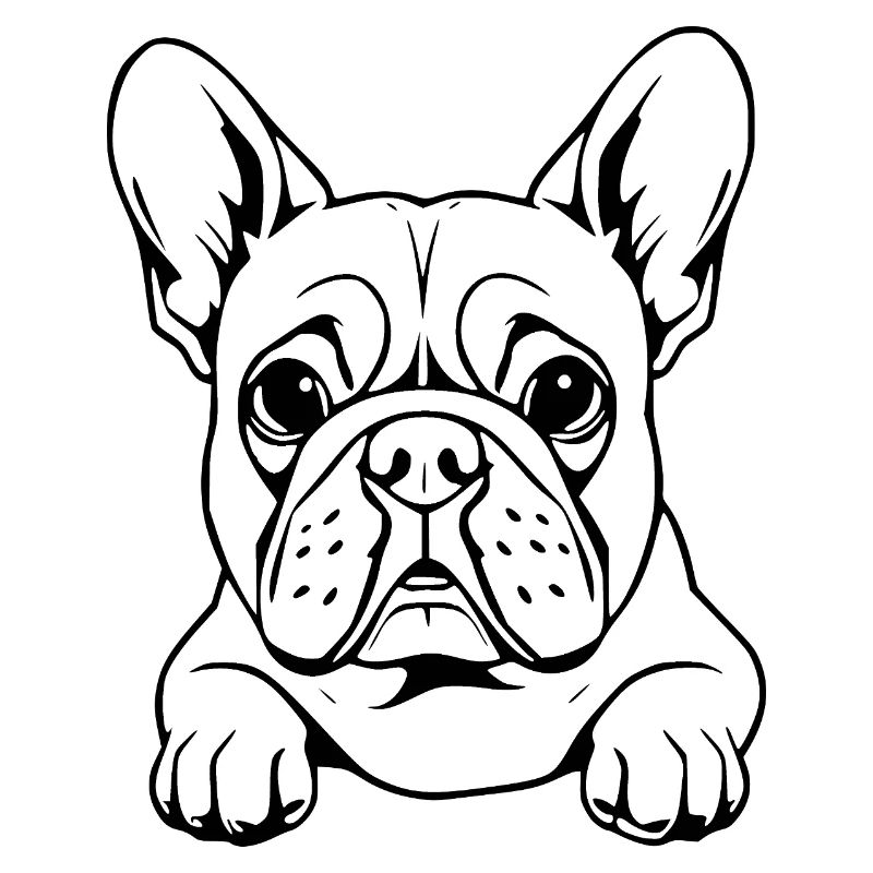 Bulldog white
