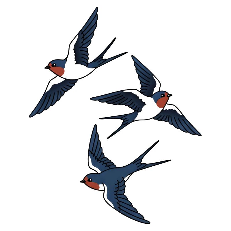 swallows