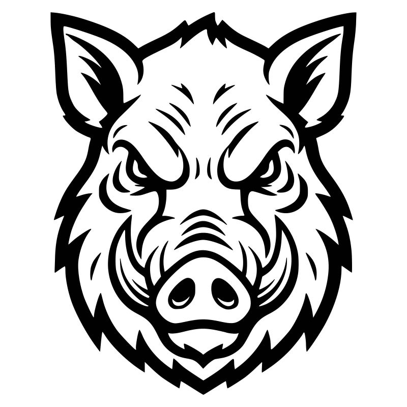 Wild Boar Head Boar Aggressive Vector
