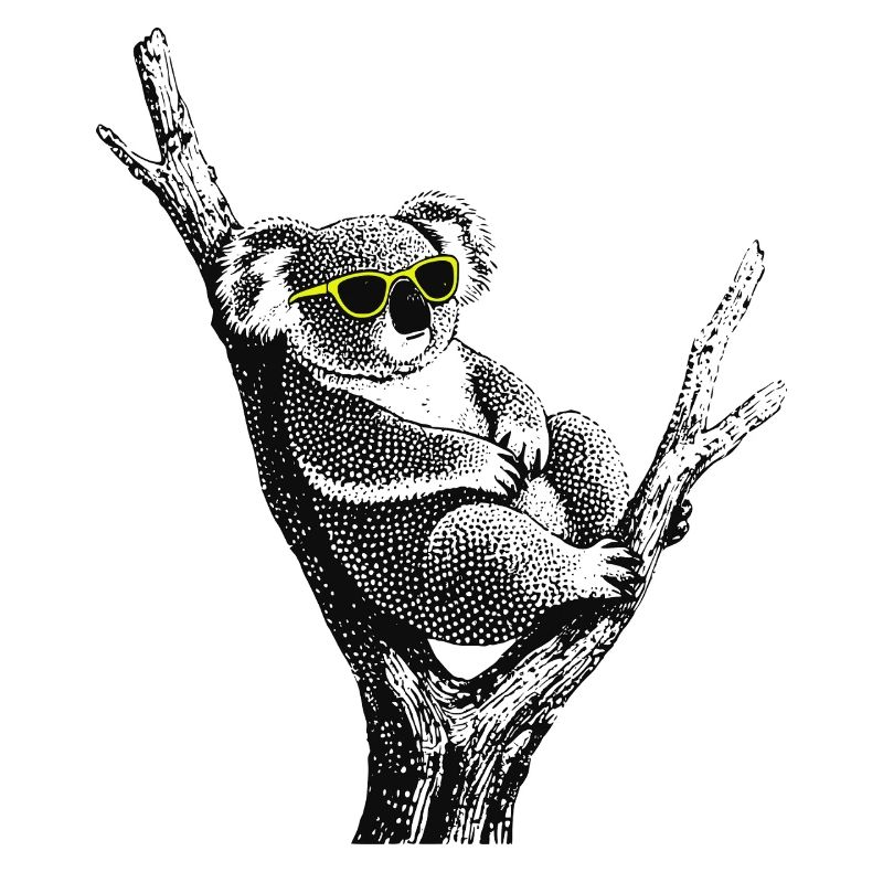 Chill Koala