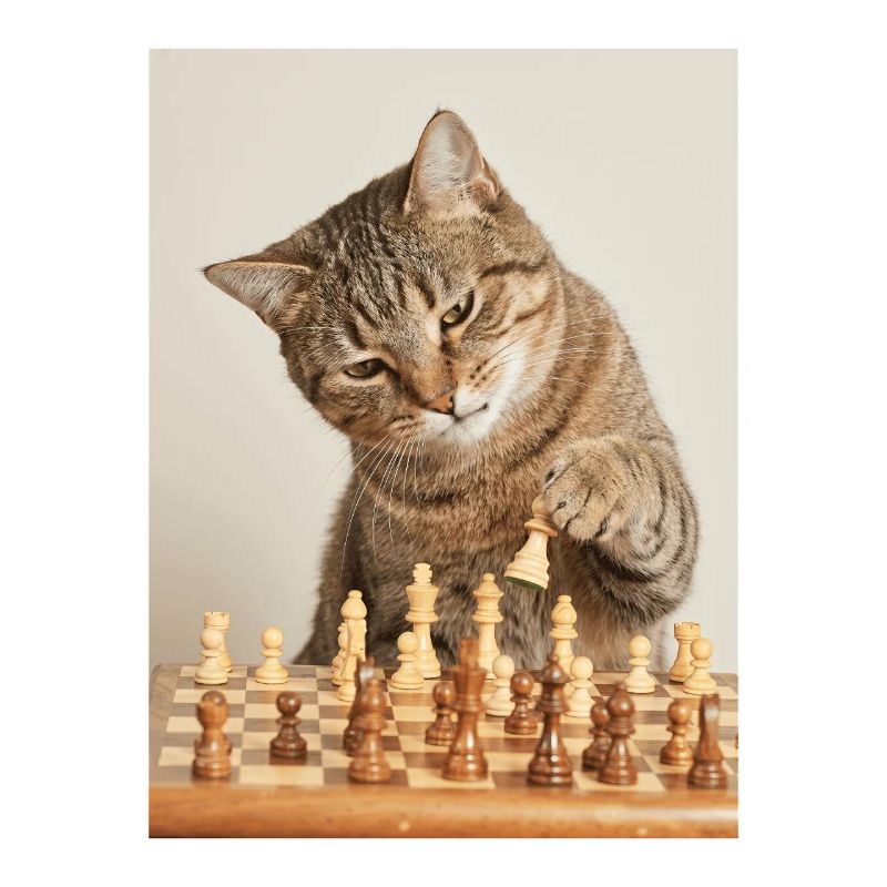 Cat playing chess