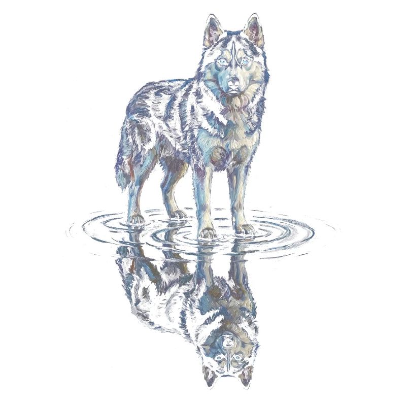 Siberian husky with water reflection