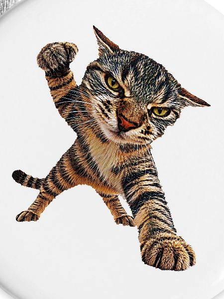 Katze