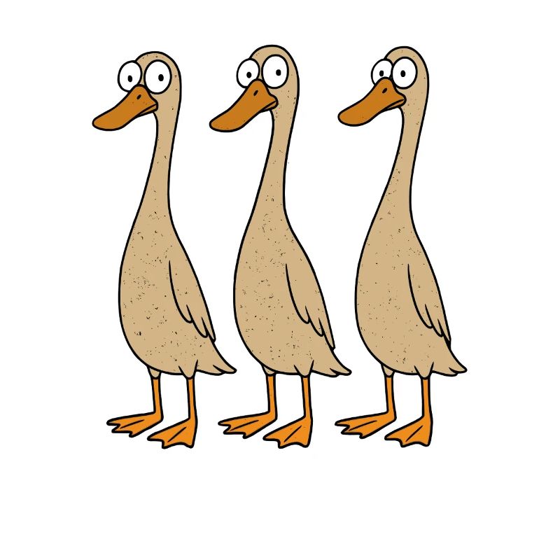 Running ducks keep runner ducks Breeding runner ducks