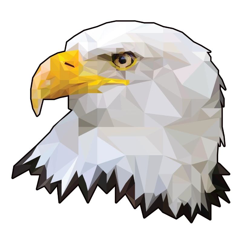 Bald eagle polygon eagle raptor polygon