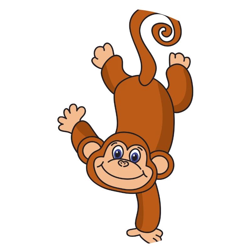 monkey