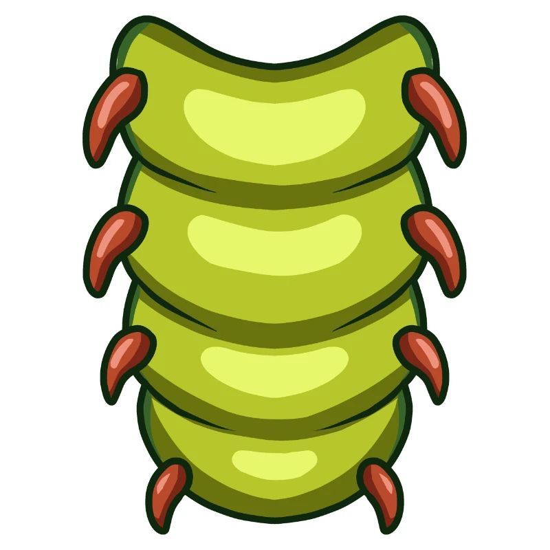Oruga