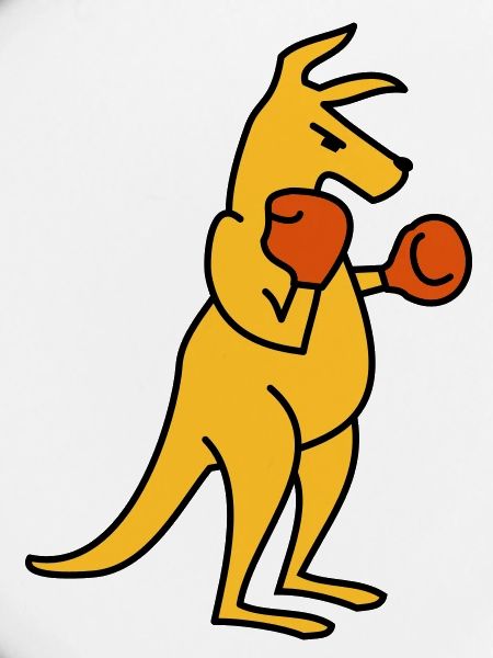 Boxing Kangaroo