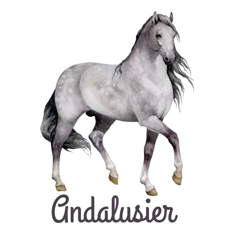Andalusier