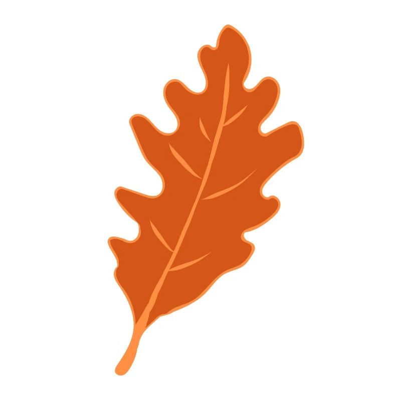 Eiche - Eichenblatt - Herbst