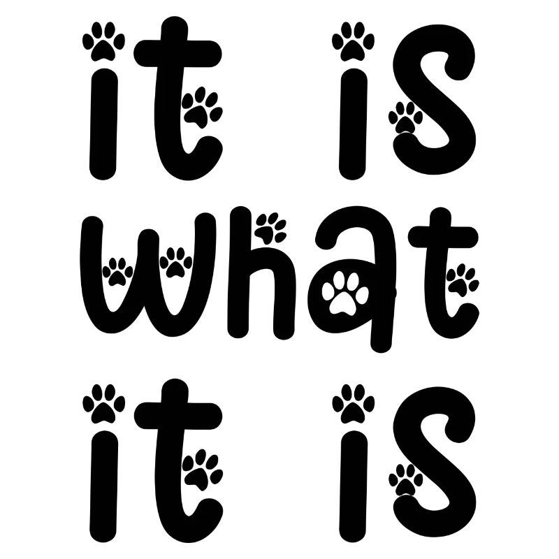 it is what it is lustiger Spruch Englisch