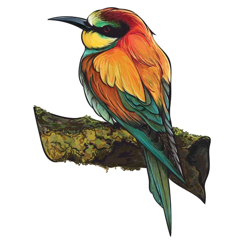 Oiseau
