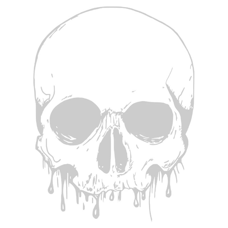 Skull in Silver - Schädel in Silber