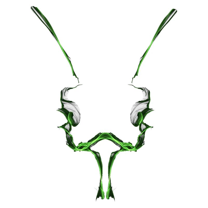 Insect head