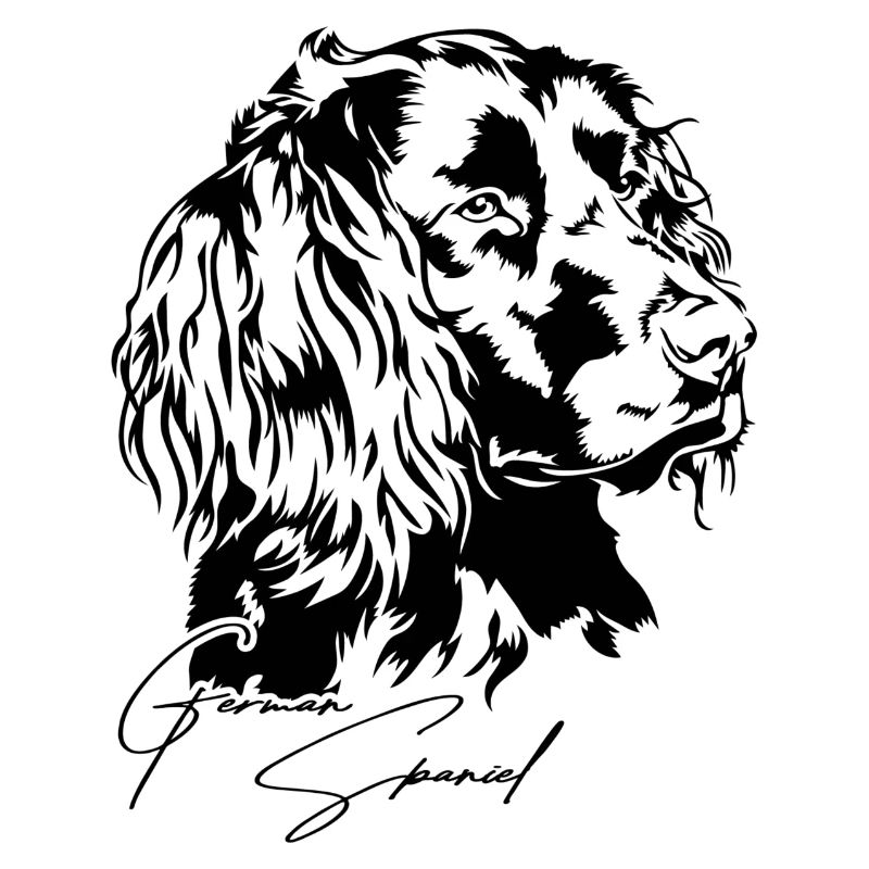 German Spaniel Hunde Portrait Jagdhunde Wilsigns