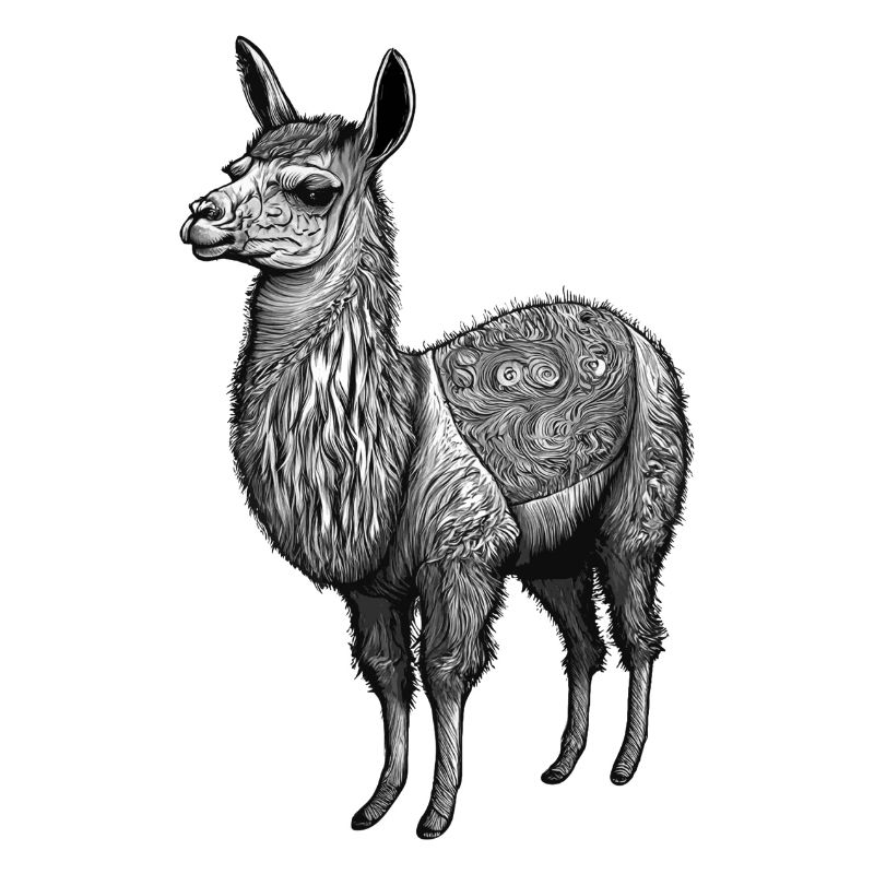 Black and White Llama Drawing with Patterns