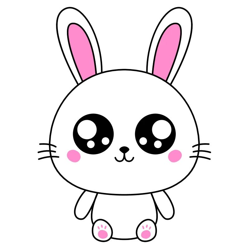 Cute Rabbit