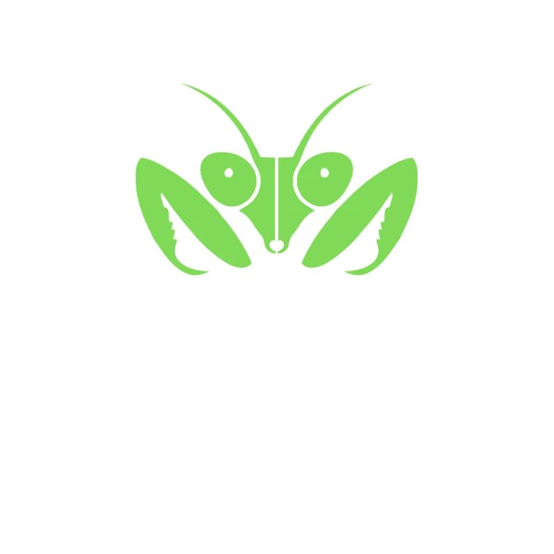 Fascinating praying mantis