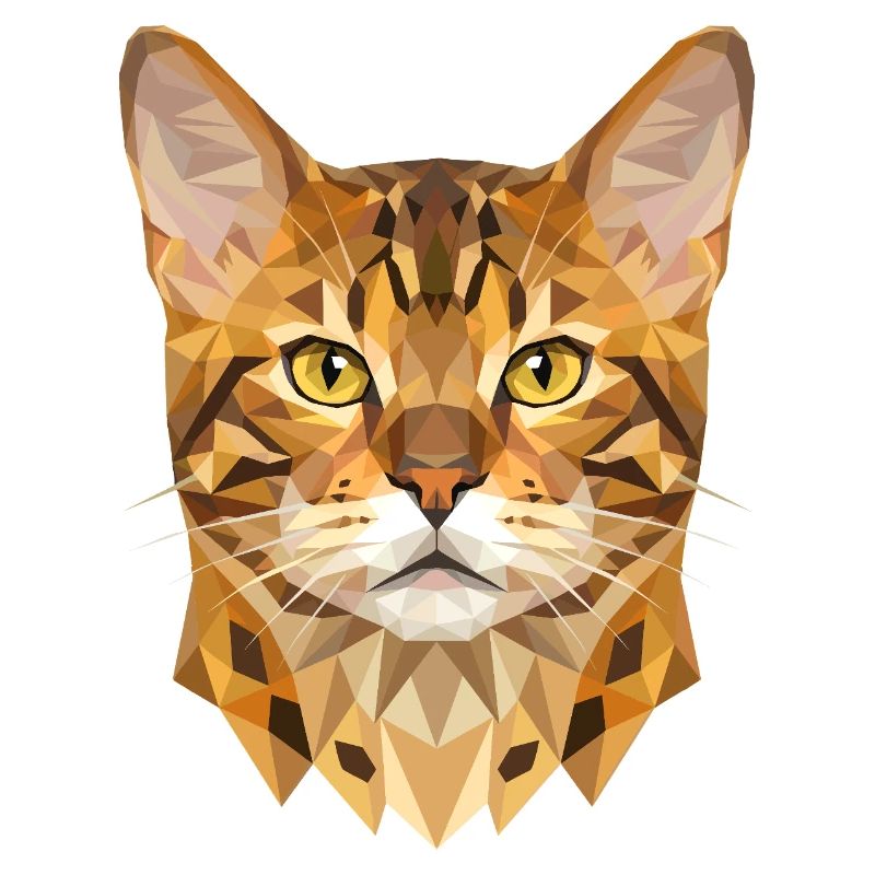 Chat léopard du Bengale, chat léopard, léopardette, chats du Bengale,