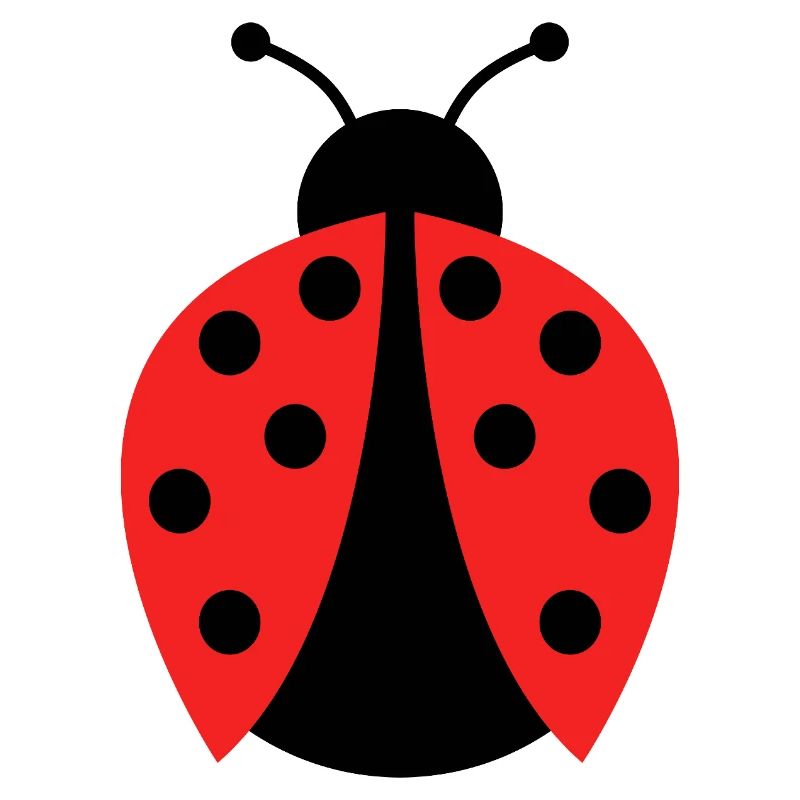 ladybug