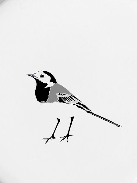 Wagtail