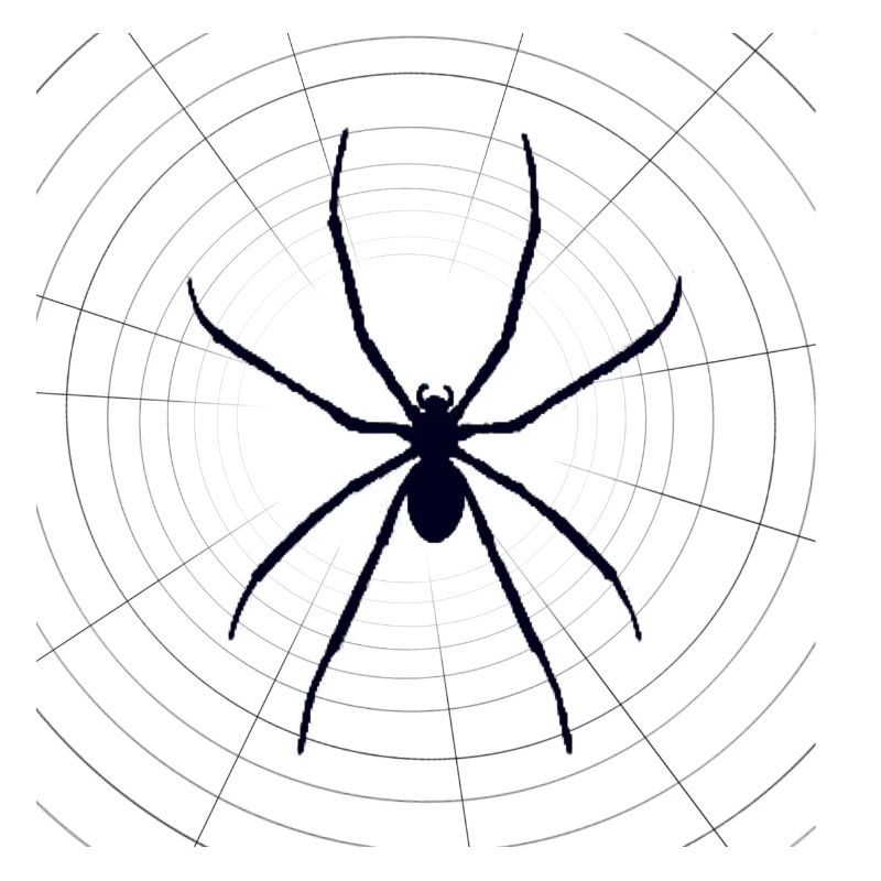 Spinne Spider jungen Pullover