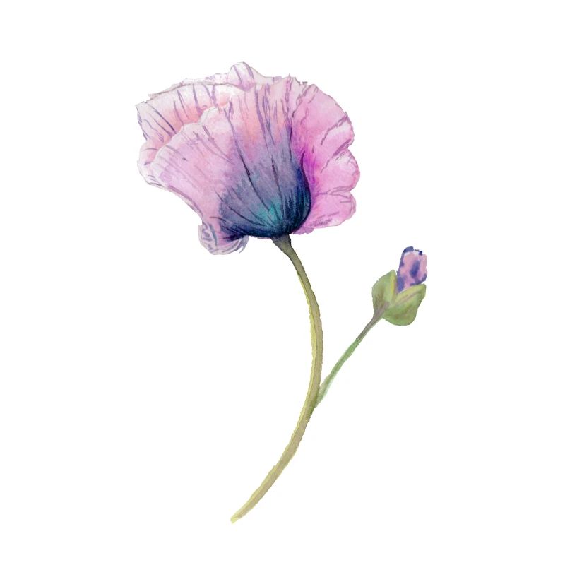 fleur