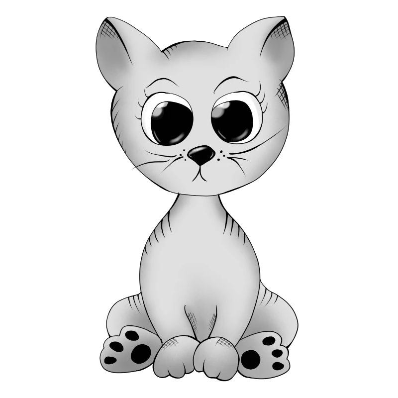Chat