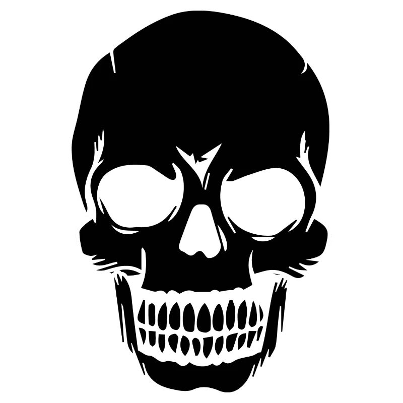 Skull White Skull Design