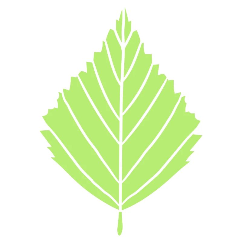 outline birch leaf tree plant shape clip art desig
