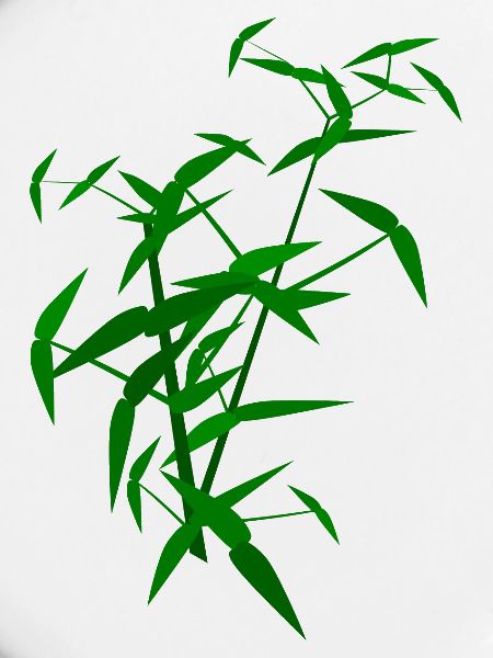 Bamboo