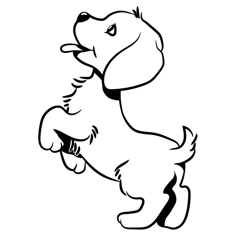 Bébé chien doux