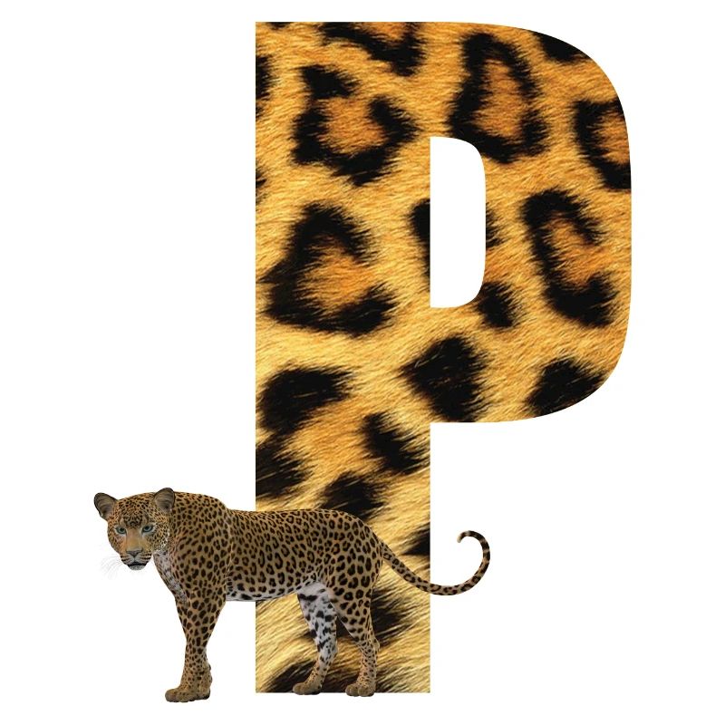 leopard p