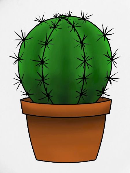 Cactus