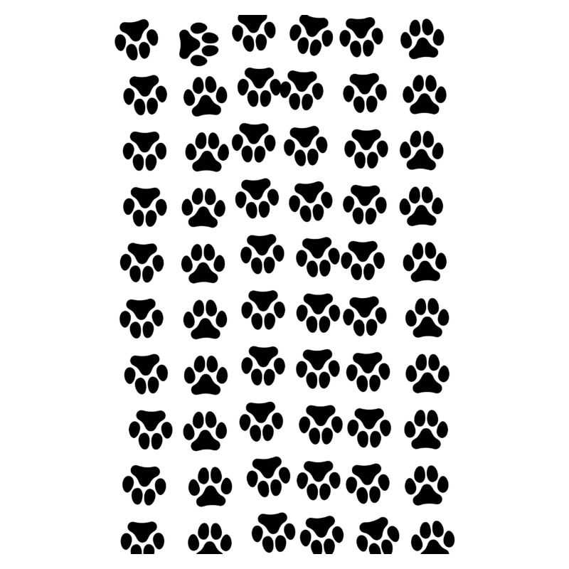 Empreinte des chatons chats chat
