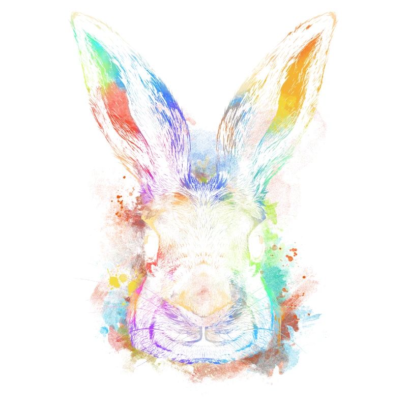 Lapin coloré Lapin Visage Rammler Lapin Lapin Élevage