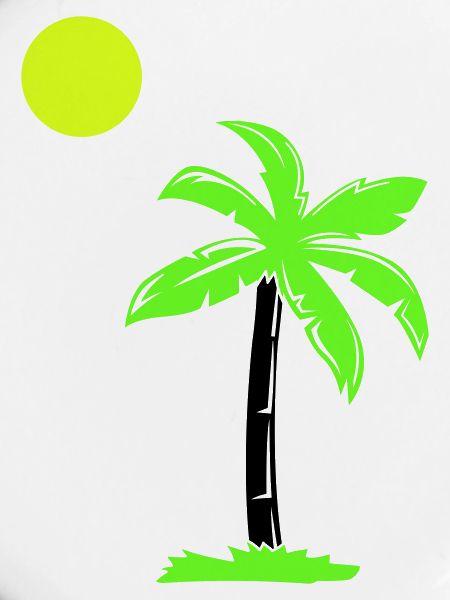 palm tree