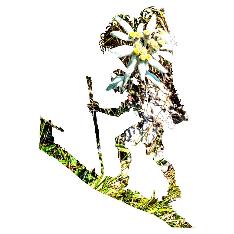 Bring mir ein Edelweiss