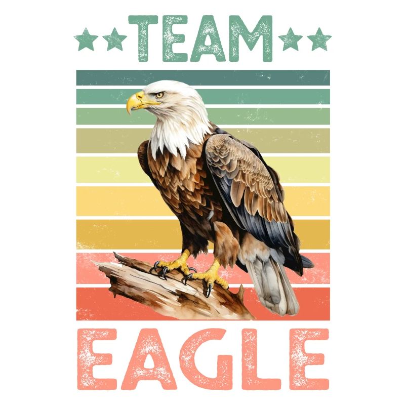 Eagle Bald Eagle