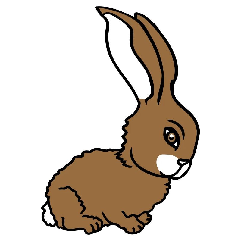 lapin lapin mignon mignon petit câlin amical