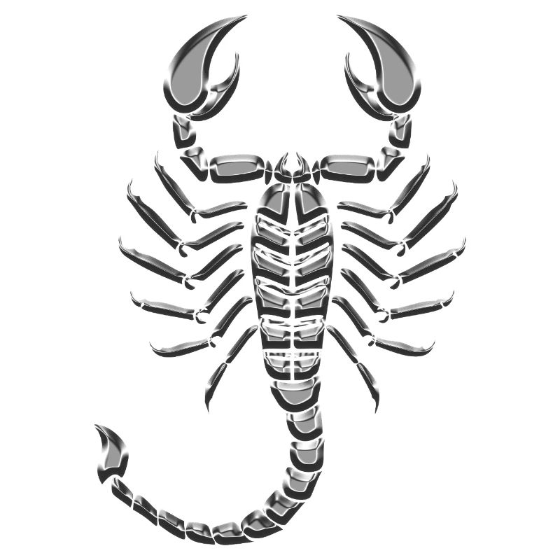 Scorpion metallic chrome