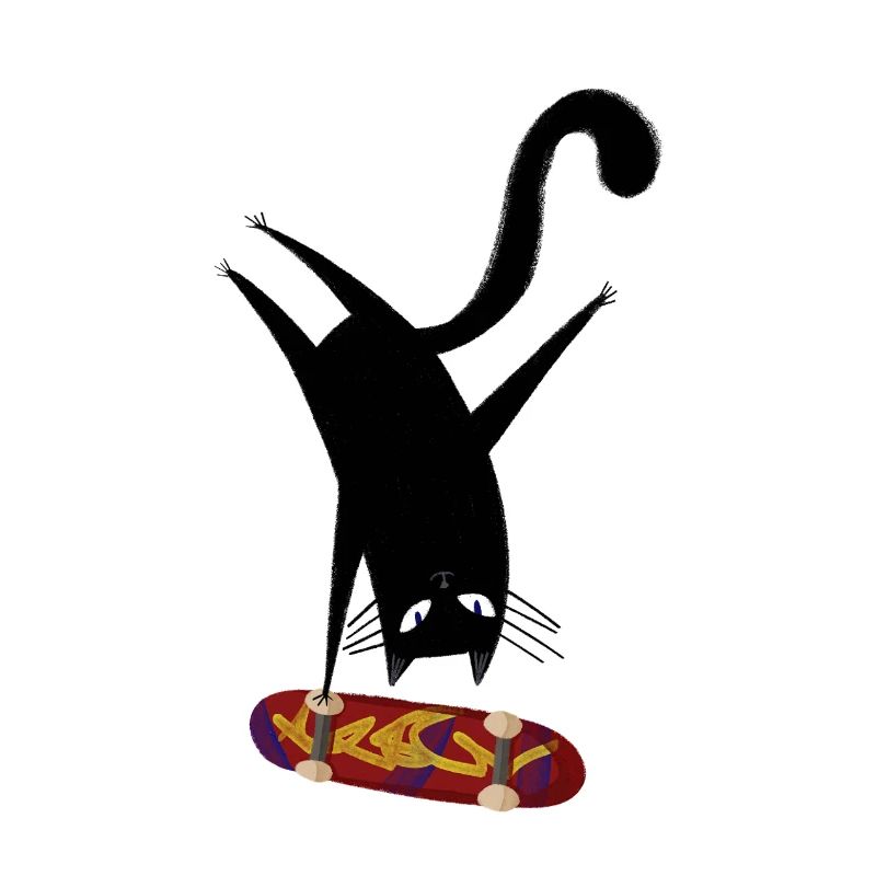 Skateboard pour chat