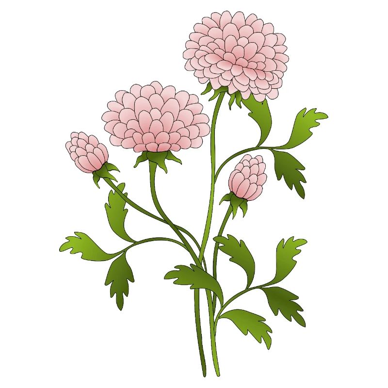 Fleur
