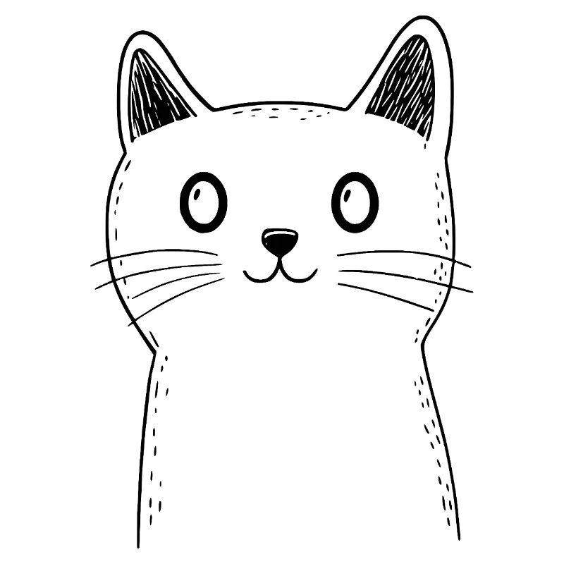 Cat Sketch