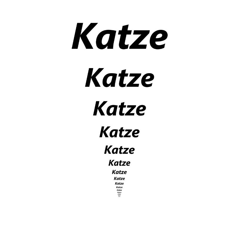 Katze Katze Katze