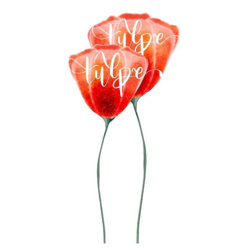 tulip