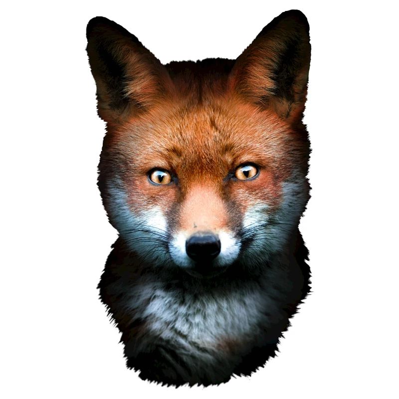Fuchs Tiere Kopf Geschenk Rotfuchs Kunst